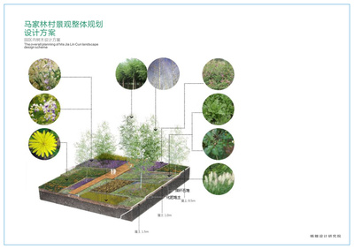 马家林村旅游景观规划设计